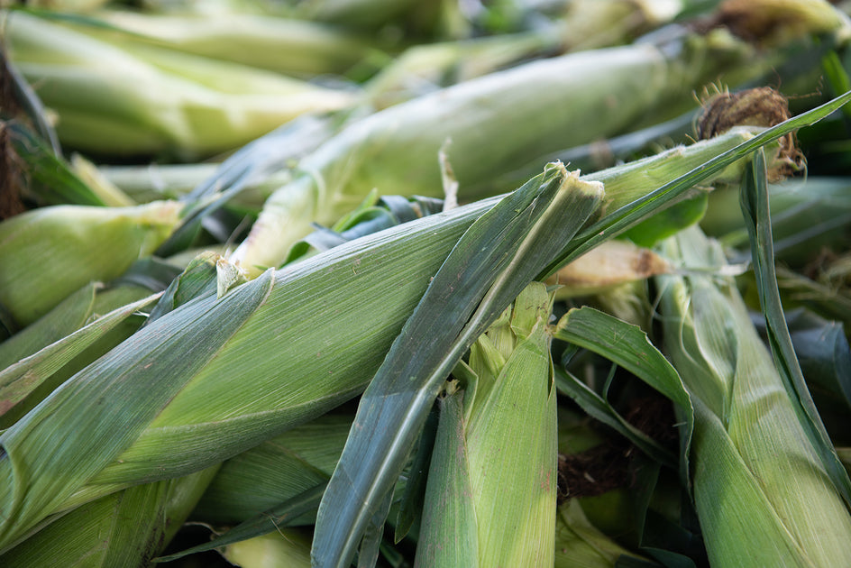 Sweet Corn Butter – FARMER JONES FARM® AT THE CHEF'S GARDEN