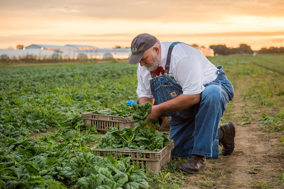 Regenerative farming: healthy soil, crops, people, and planet – FARMER ...