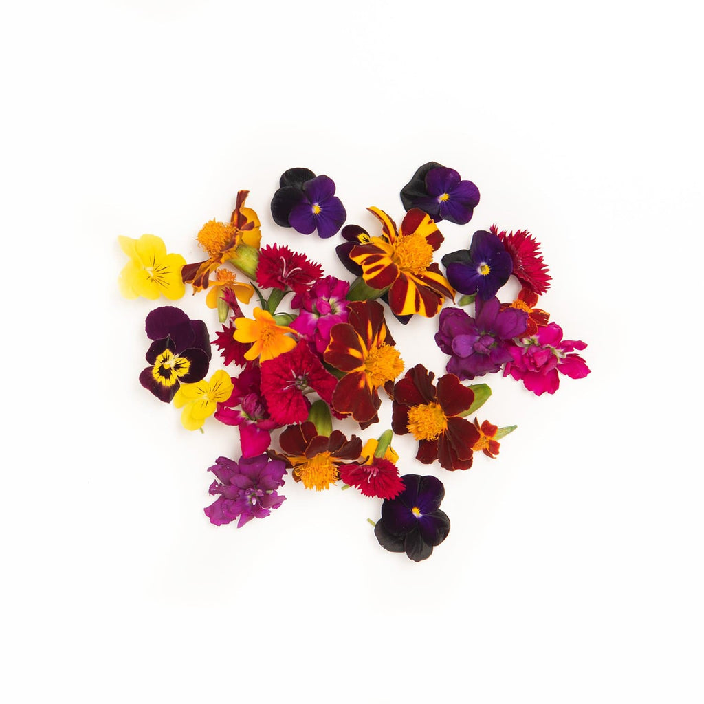 Pressed and Dried Edible Pansy Flowers Organic Grown Sustainably