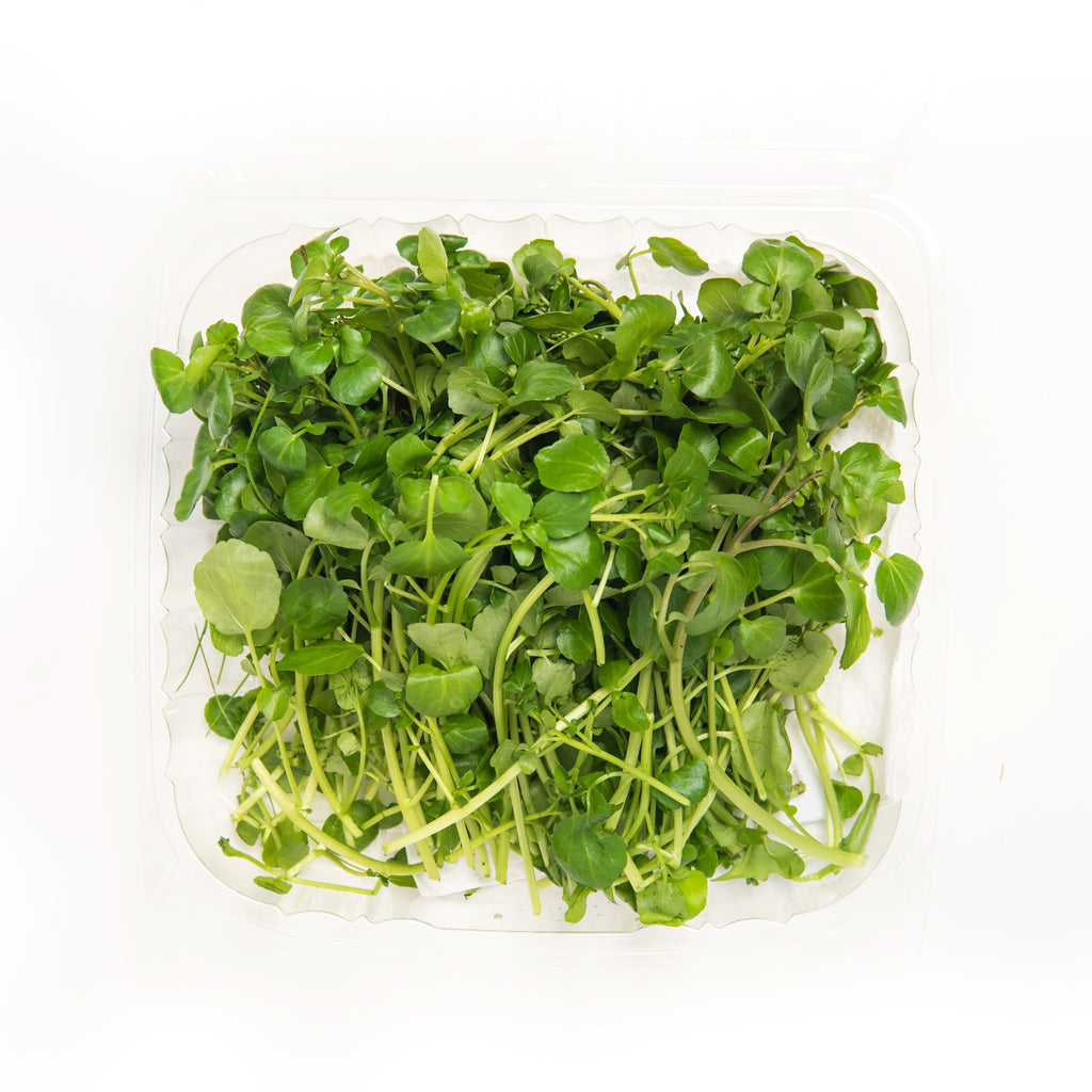 Greek garden cress